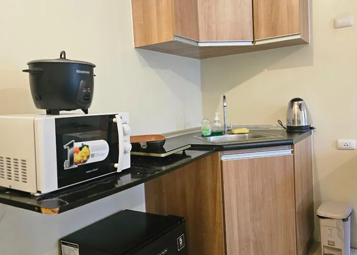 Apartment Avida Riala T3 1519（cebu It Park） *